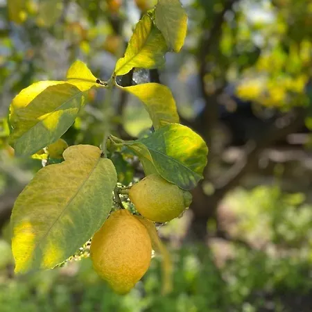 Appartamento Dimora Tomà